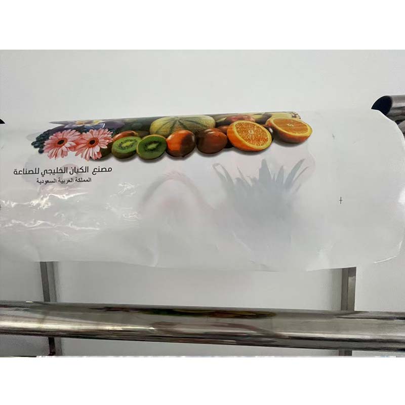 Mesin Cetak Flexo Flexographic - Printer Paper ulasan dan harga